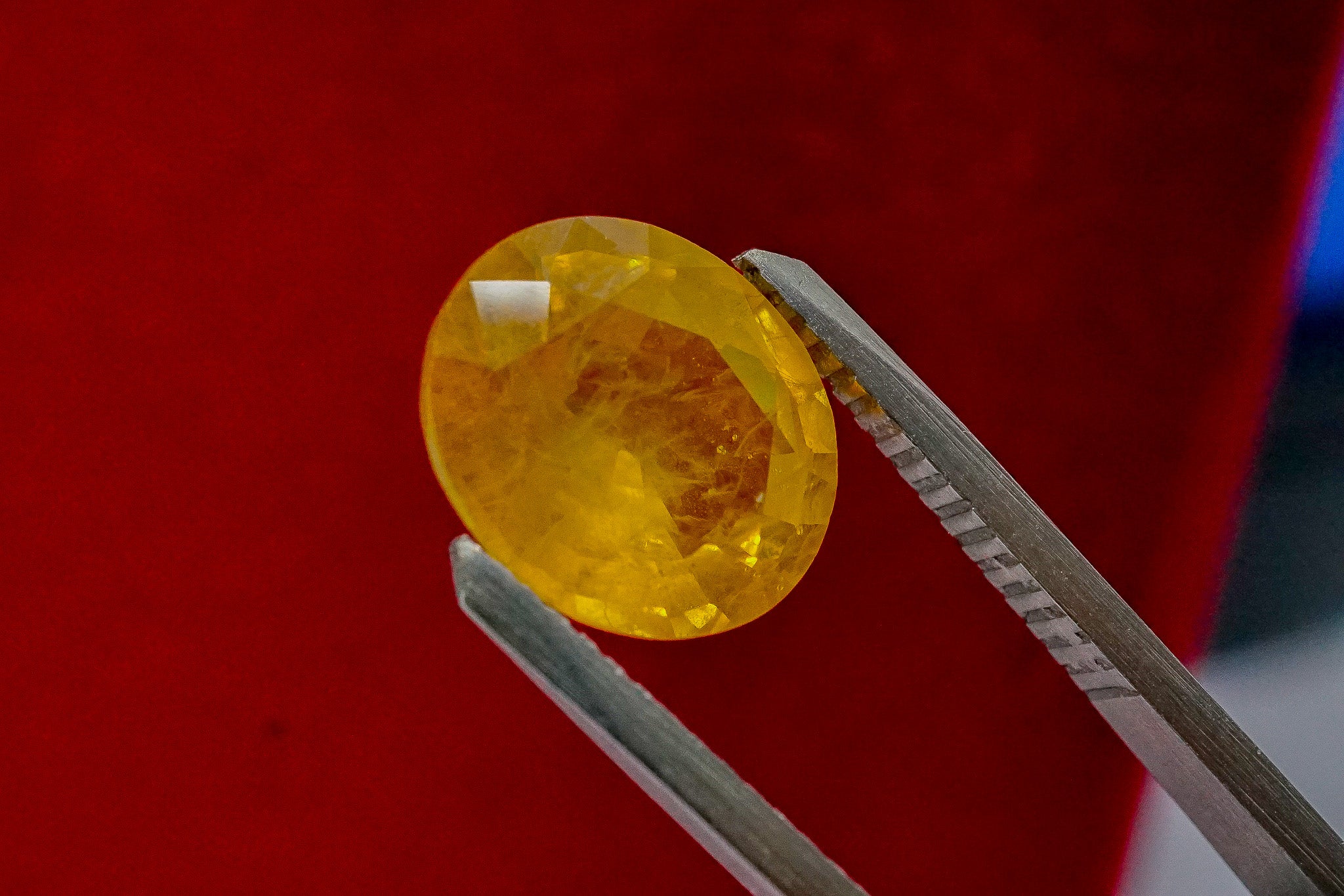 Close-up of yellow sapphire loose gemstone held with tweezers