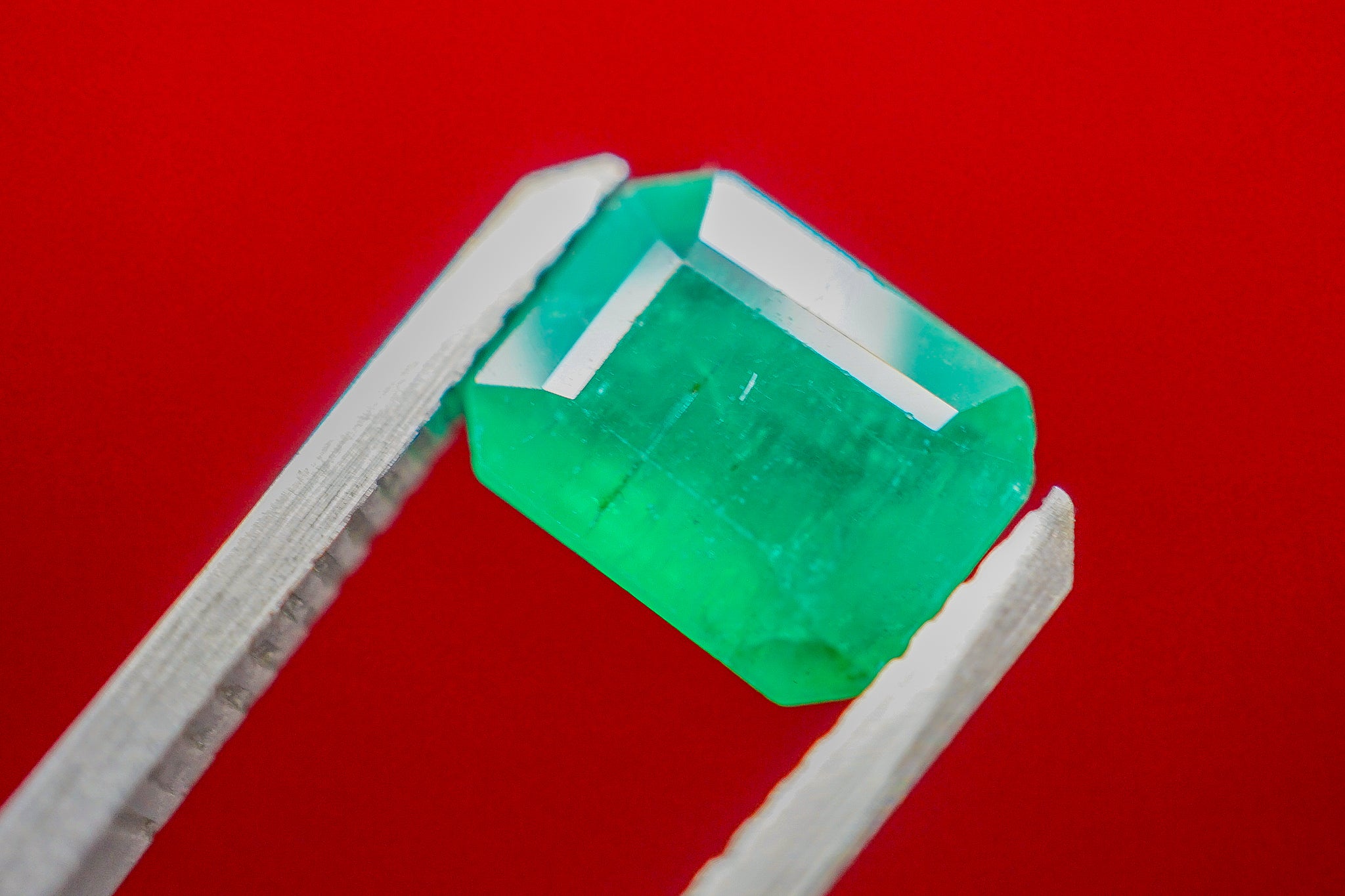 Emerald cut green emerald gemstone held in tweezers on a red background