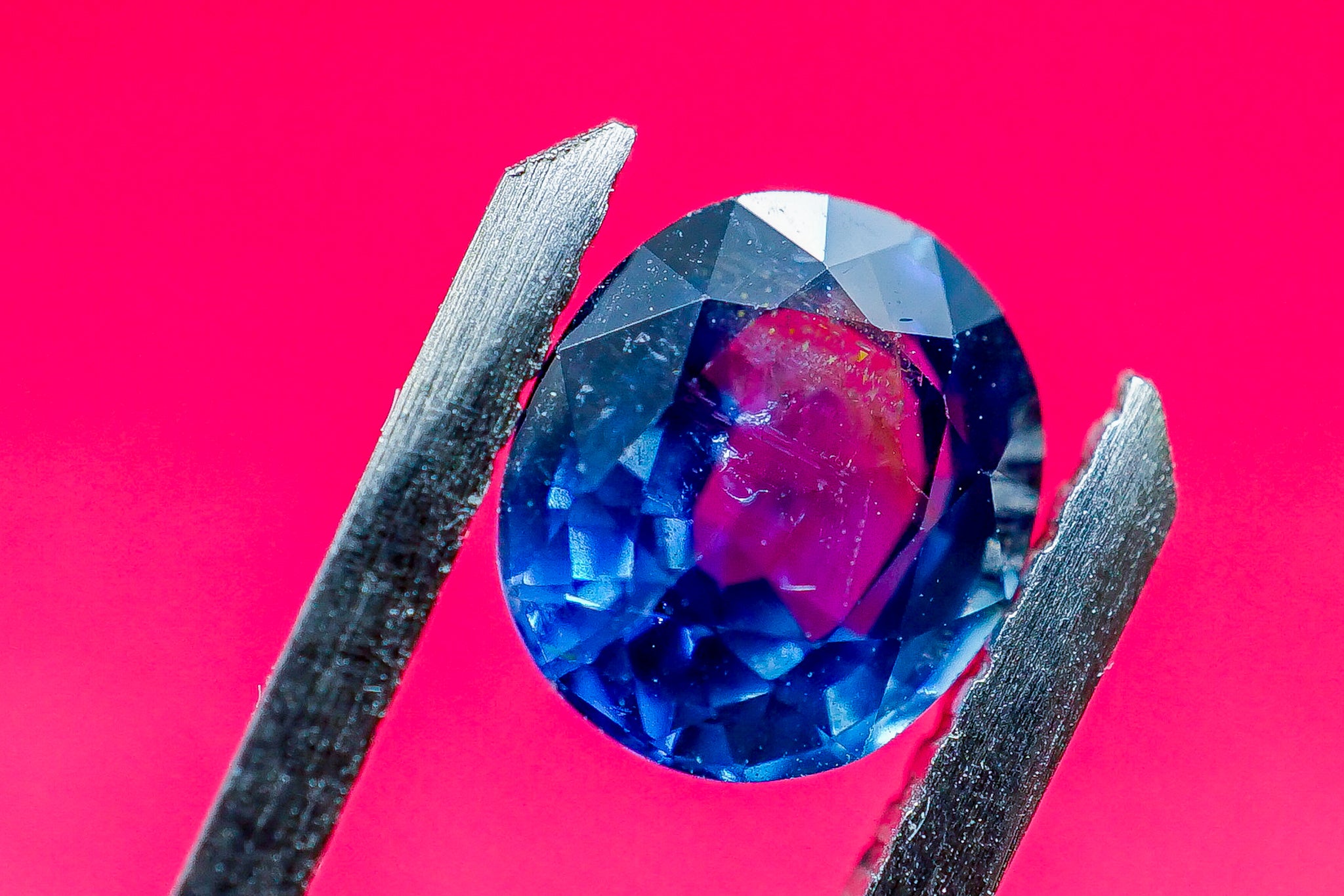 Oval blue sapphire gemstone held in tweezers against a pink background