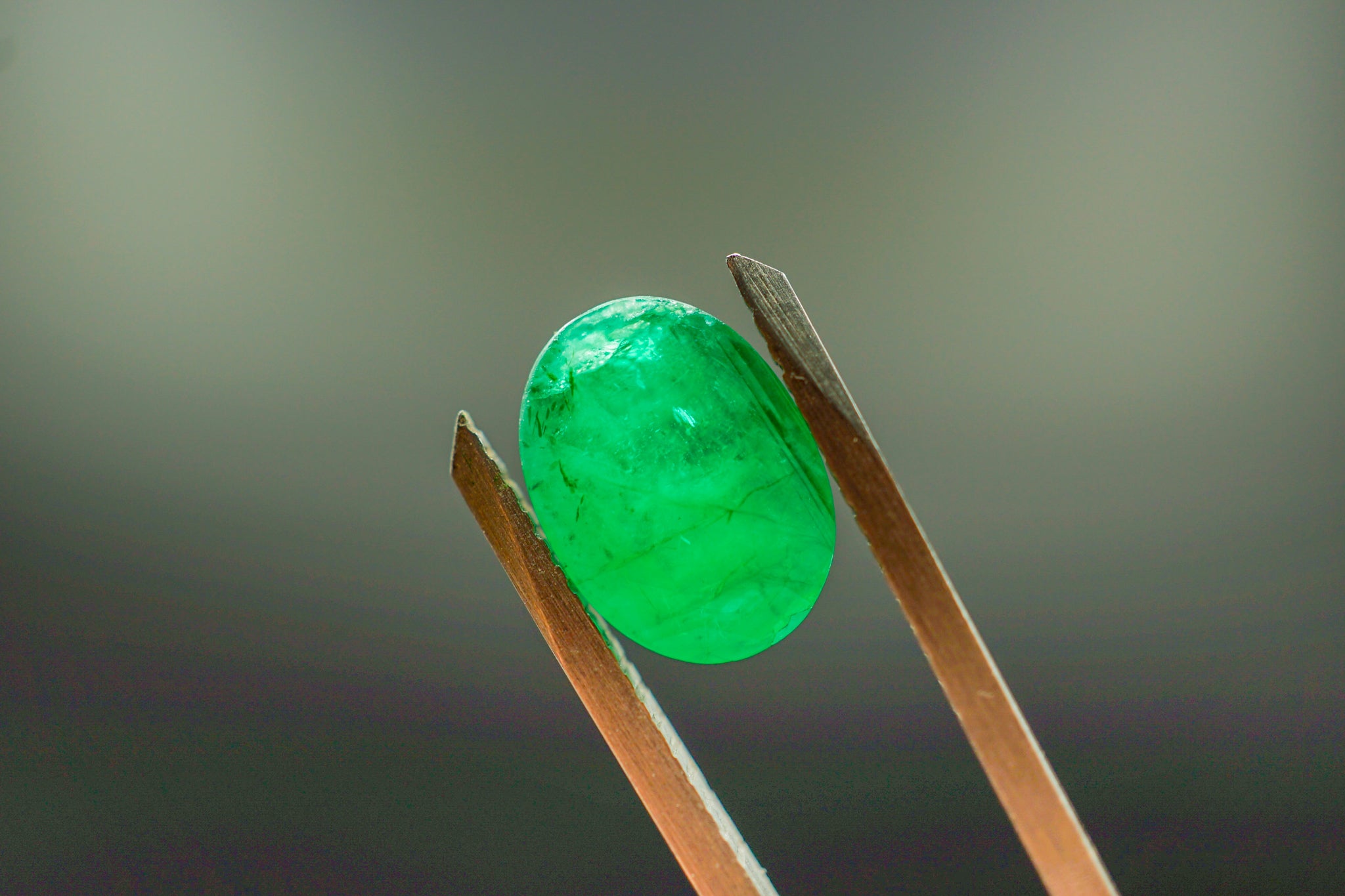 Oval green emerald stone held in tweezers for detail view