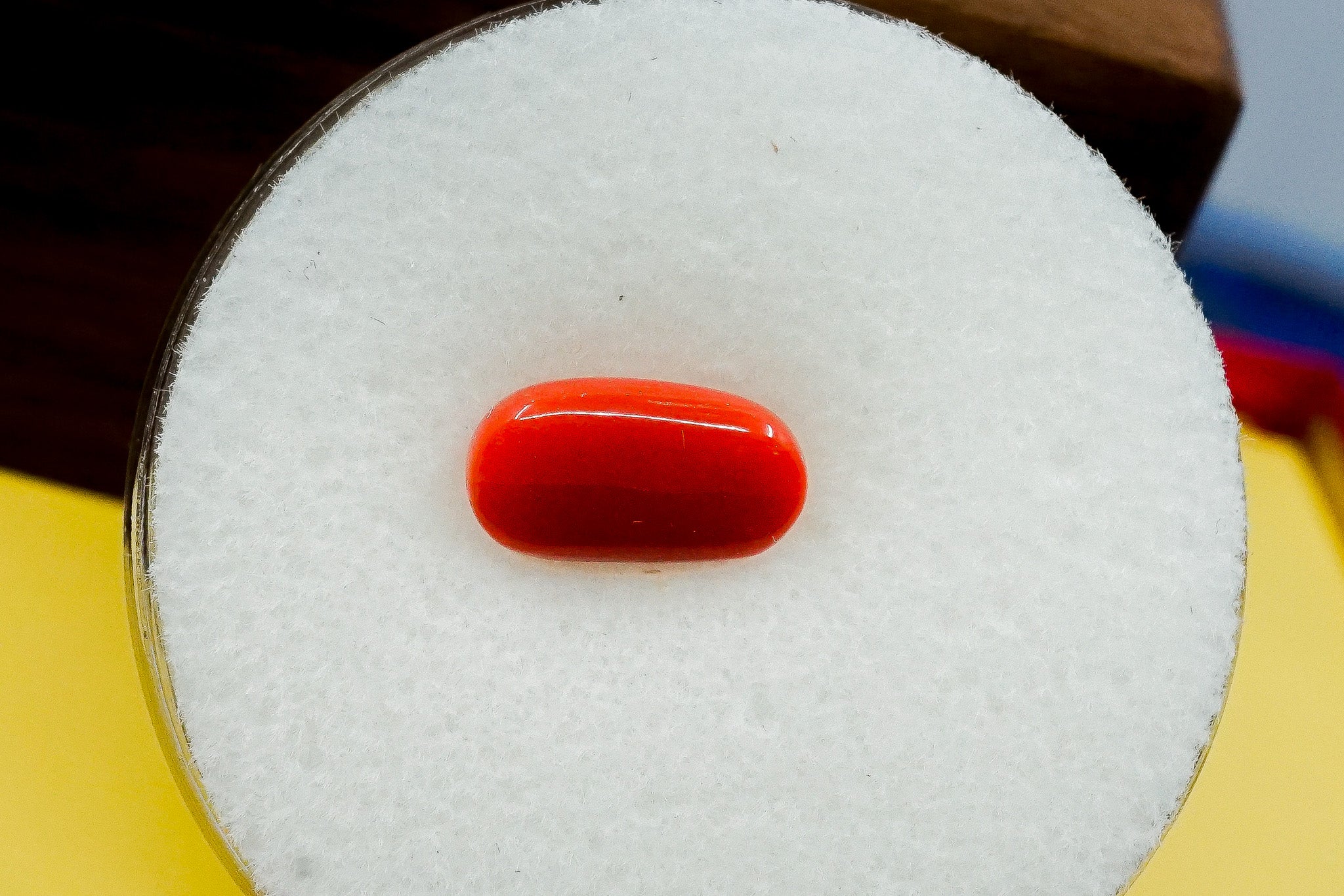 Red oval coral stone loose gemstone (0.86 g) on white display pad